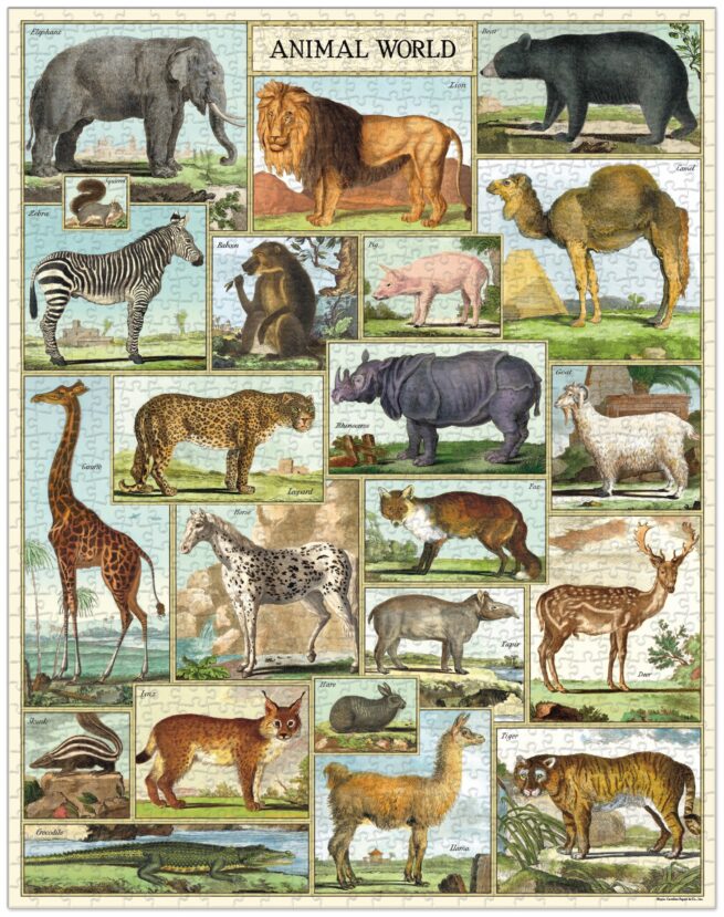 Cavallini - 1000 Pc Puzzle Animal World - Image 3
