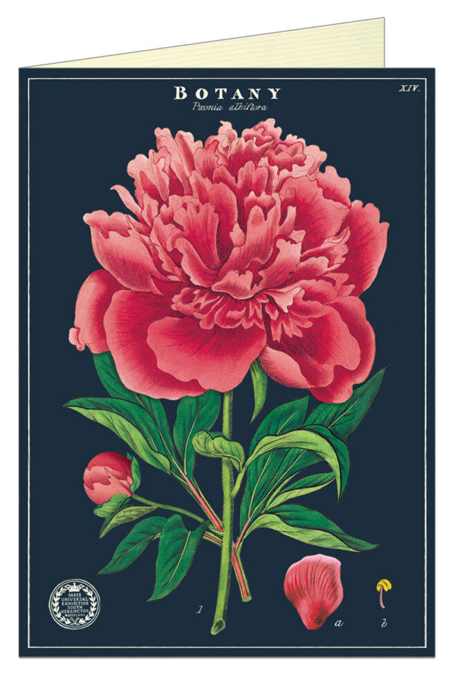 Cavallini Greeting Card - Botany