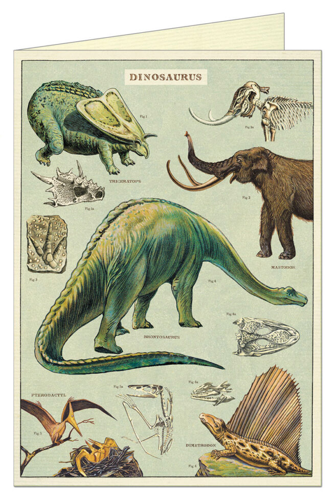 Cavallini Greeting Card - Dinosaurs