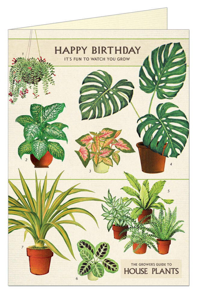 Cavallini Greeting Card - House Plants