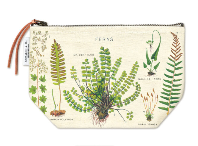 Cavallini Pouch - Ferns