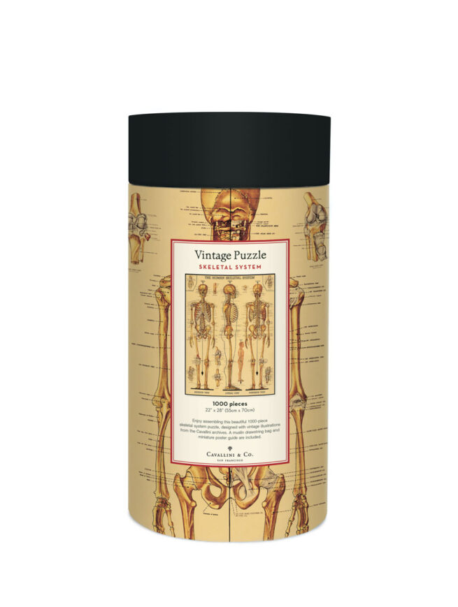 Cavallini - 1000 Pc Puzzle Skeletal System - Image 2