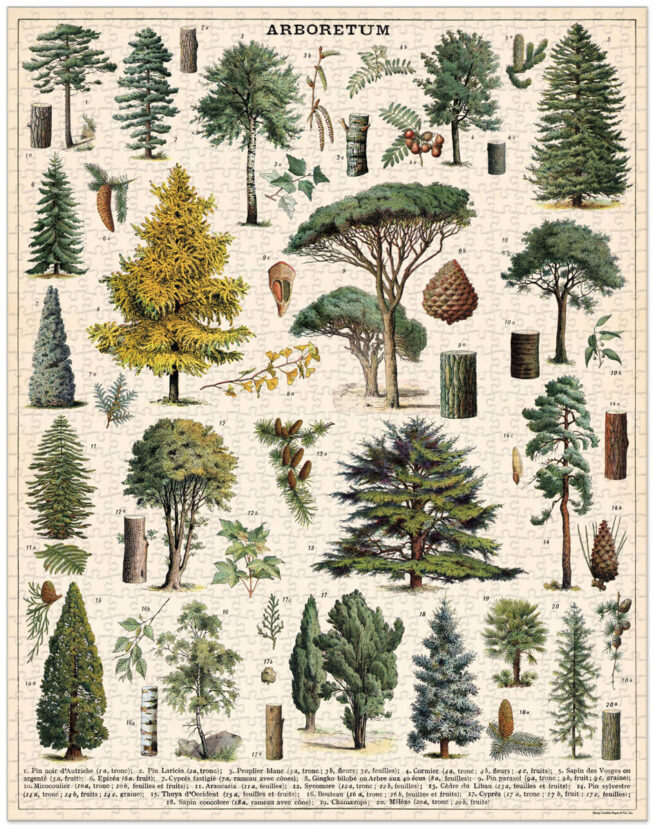 Cavallini - 1000 Pc Puzzle Arboretum - Image 3