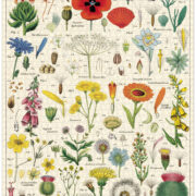 Cavallini - 1000 Pc Puzzle Wildflowers - Image 3