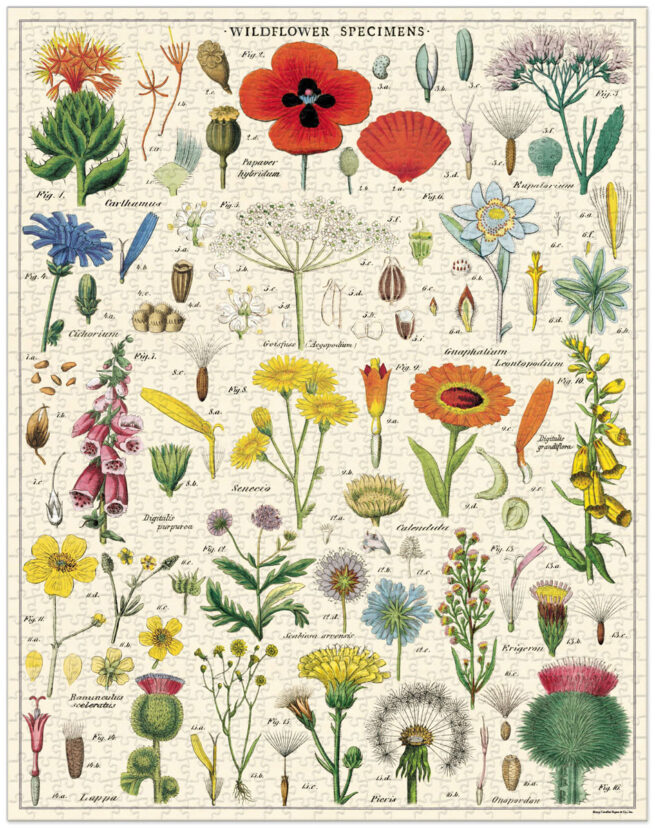 Cavallini - 1000 Pc Puzzle Wildflowers - Image 3