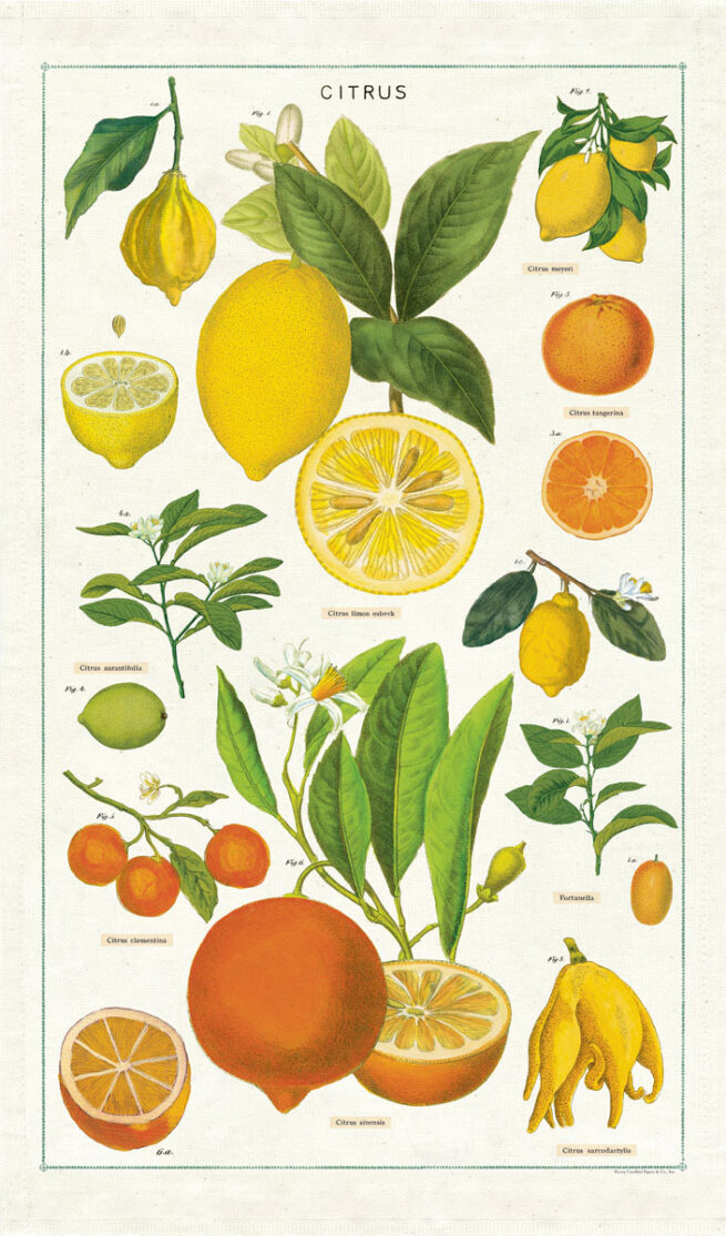 Cavallini Tea Towel - Citrus