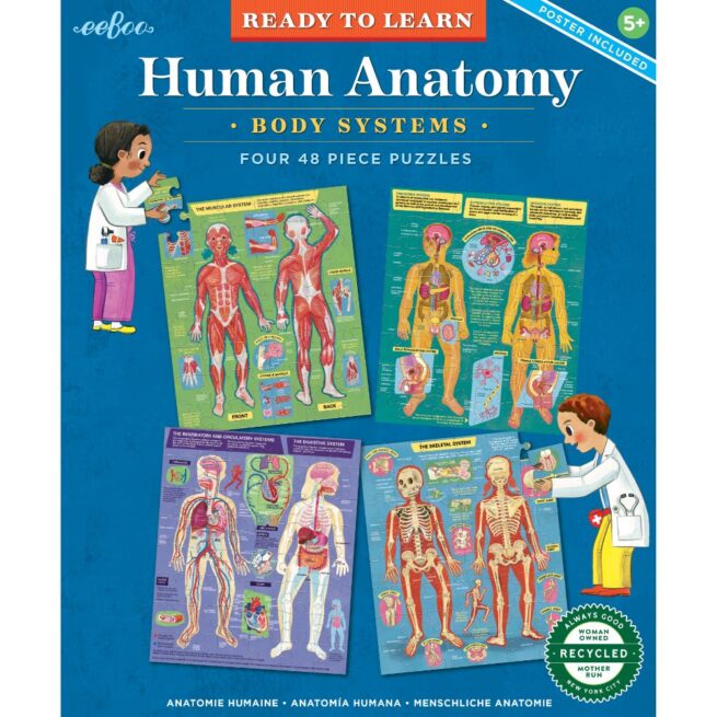 eeBoo Ready to Learn - Human Anatomy