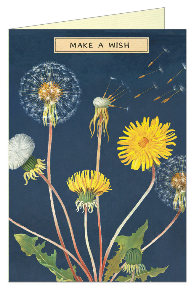 Cavallini Greeting Card - Make a Wish