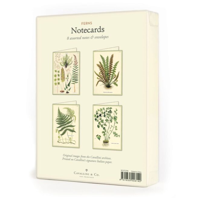Cavallini Boxed Notecards - Fern - Image 6
