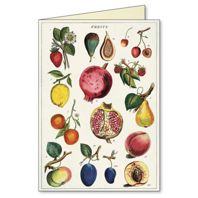 Cavallini Boxed Notecards - Jardin - Image 4