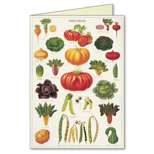 Cavallini Boxed Notecards - Jardin - Image 6