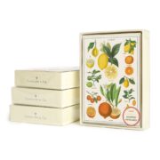 Cavallini Boxed Notecards - Jardin
