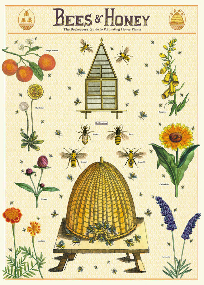 Cavallini Poster/Gift Wrap - Bees & Honey