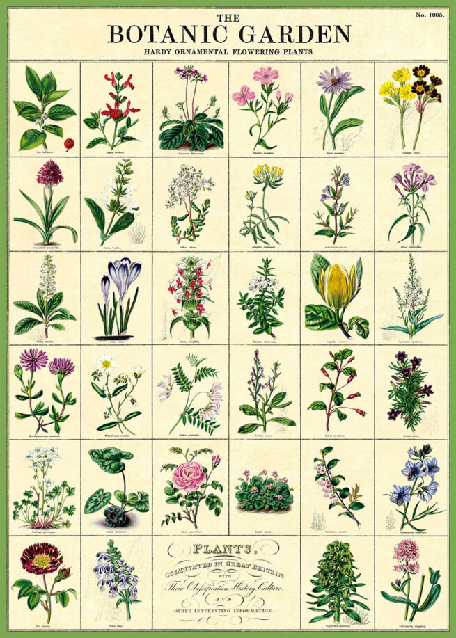 Cavallini Poster/Gift Wrap - Botanic Garden