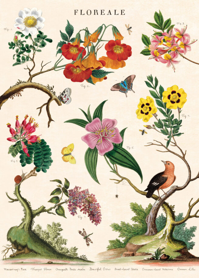 Cavallini Poster/Gift Wrap - Floreale