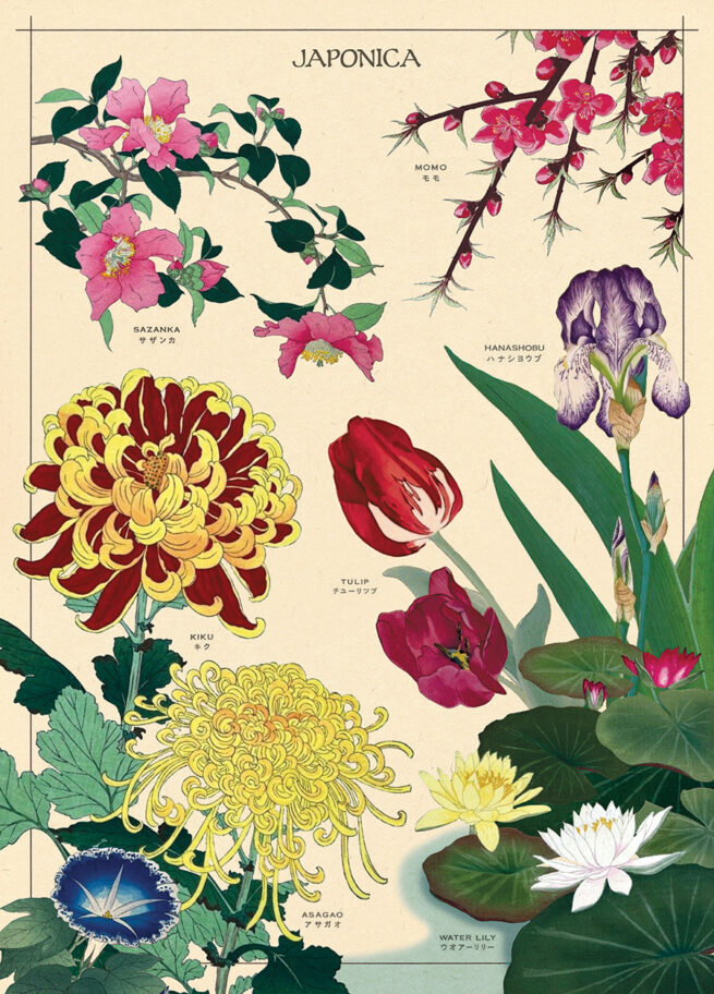 Cavallini Poster/Gift Wrap - Japonica