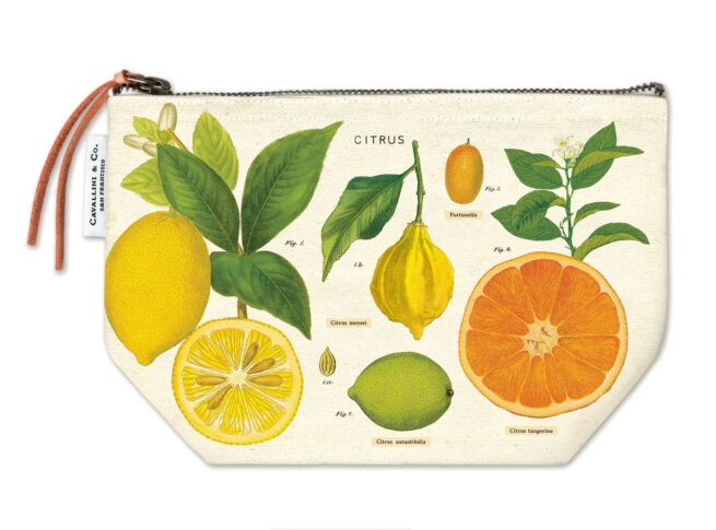 Cavallini Pouch - Citrus