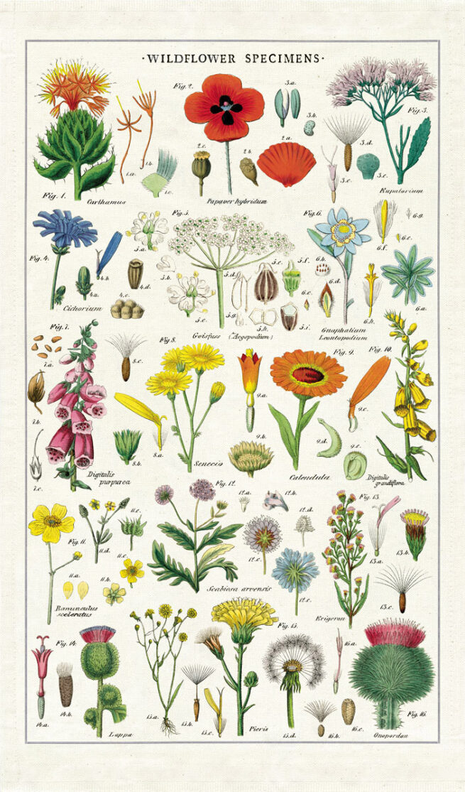 Cavallini Tea Towel - Wildflower