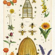 Cavallini Tea Towel - Bees & Honey