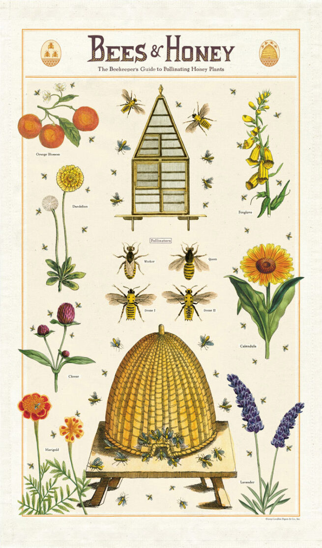 Cavallini Tea Towel - Bees & Honey