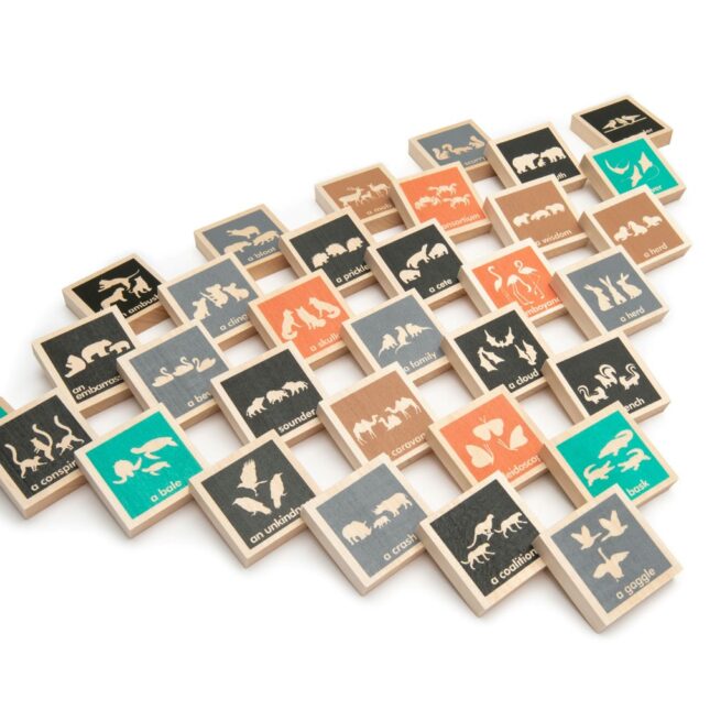 Uncle Goose Collective Noun Chips - Image 2