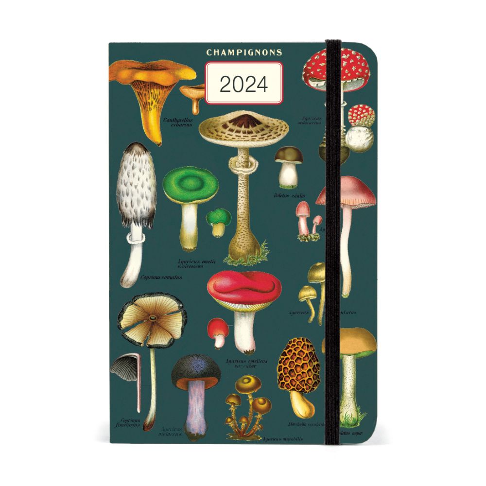 Cavallini 2024 Weekly Planner Mushrooms Evans and Hall