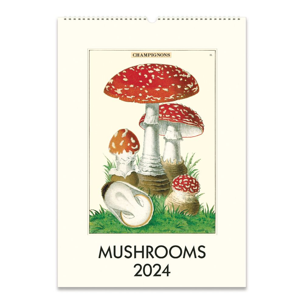 Cavallini 2024 Wall Calendar Mushrooms Evans and Hall