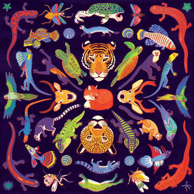 Mudpuppy 500 Pc Puzzle - Kaleido Wild - Image 2