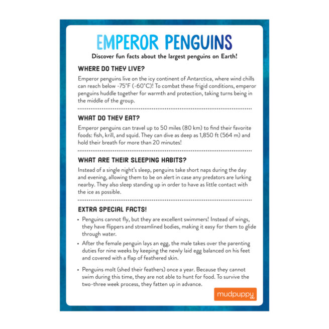 Mudpuppy Game - Penguin Iceberg - Image 3
