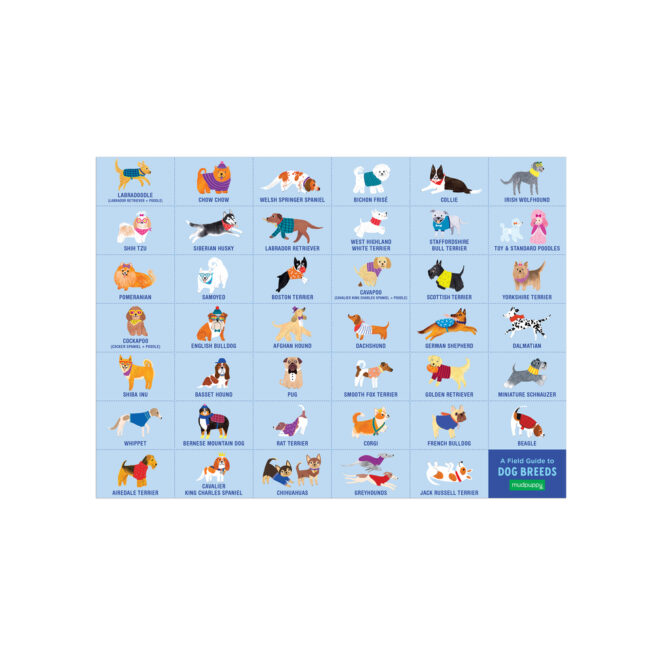 Mudpuppy 64 Pc Search & Find Puzzle - Doggie Days - Image 4
