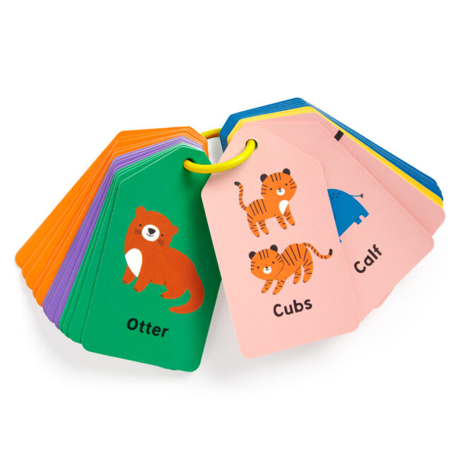 Mudpuppy Flash Cards - Baby Animals - Image 4