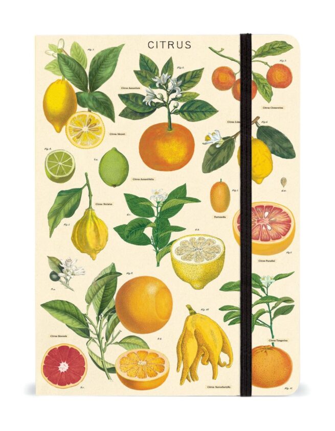 Cavallini Notebook Large - Citrus