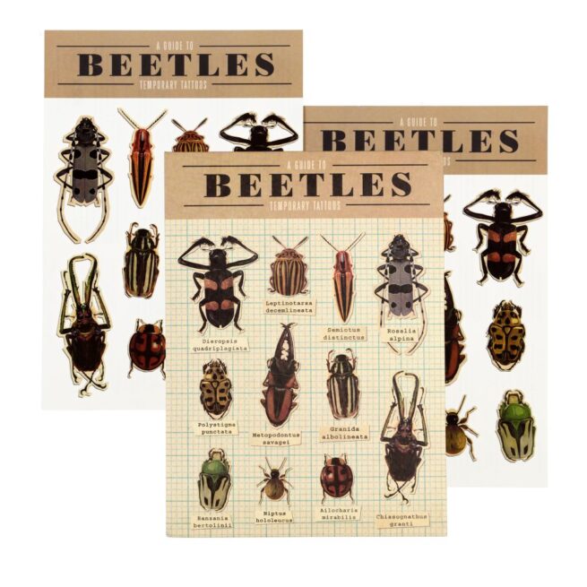 Rex London Temporary Tattoos - Beetles