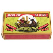 Rex London Creepy Crawlies – Box of Two Slimy Slugs