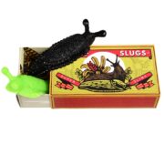 Rex London Creepy Crawlies – Box of Two Slimy Slugs - Image 2