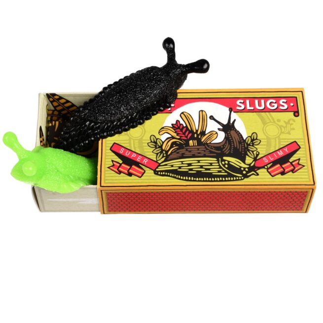 Rex London Creepy Crawlies – Box of Two Slimy Slugs - Image 2