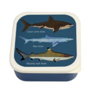 Rex London Snack Box Set of 3 - Sharks - Image 3