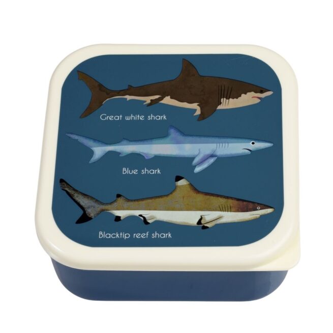 Rex London Snack Box Set of 3 - Sharks - Image 3