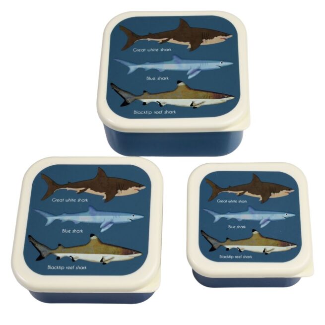 Rex London Snack Box Set of 3 - Sharks - Image 2