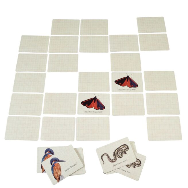 Rex London Memory Game - Nature Trail - Image 3