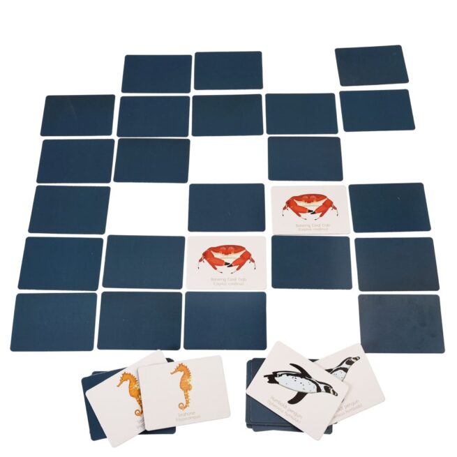 Rex London Memory Game - Ocean - Image 3