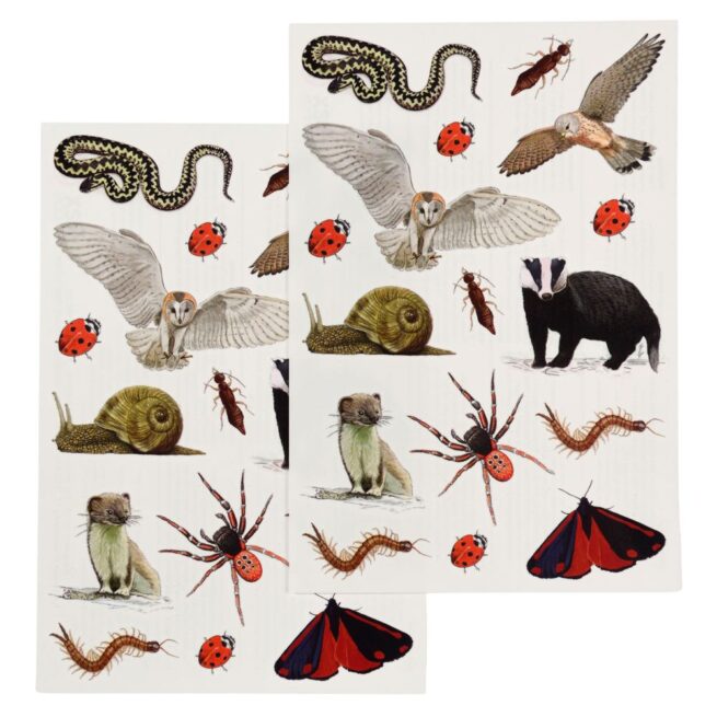 Rex London Temporary Tattoos - Nature Trail - Image 2