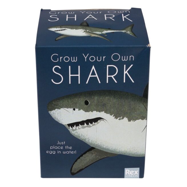 Rex London Giant Hatching Shark Egg