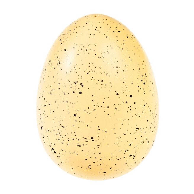 Rex London Giant Hatching Shark Egg - Image 2