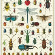Cavallini - 1000 Pc Puzzle Bugs & Insects - Image 2