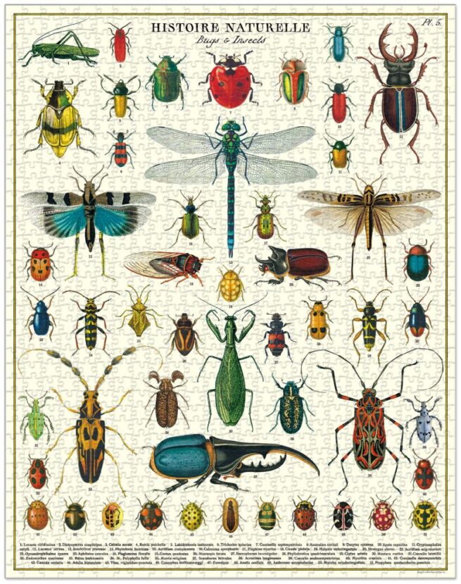 Cavallini - 1000 Pc Puzzle Bugs & Insects - Image 2