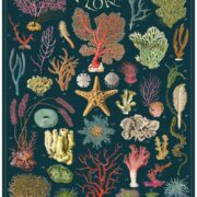 Cavallini - 1000 Pc Puzzle Ocean Flora - Image 2