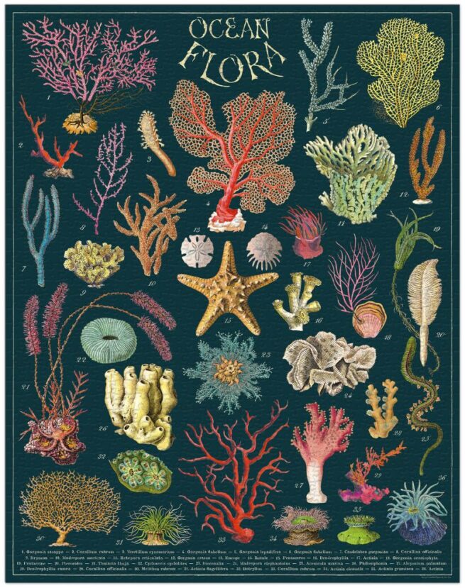 Cavallini - 1000 Pc Puzzle Ocean Flora - Image 2