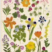 Cavallini - 1000 Pc Puzzle Pressed Flowers - Image 2