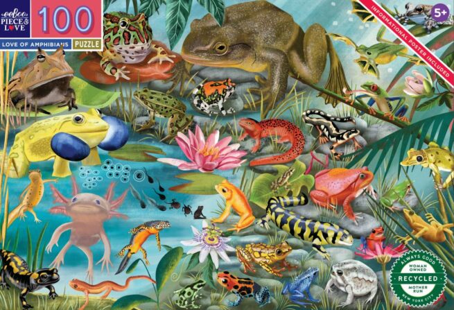 eeBoo 100 Pc Puzzle - Love of Amphibians
